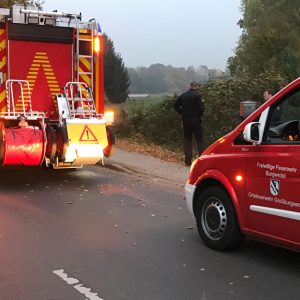 Patientenrettung Drehleiter Altwarmbüchen in Grossburgwedel