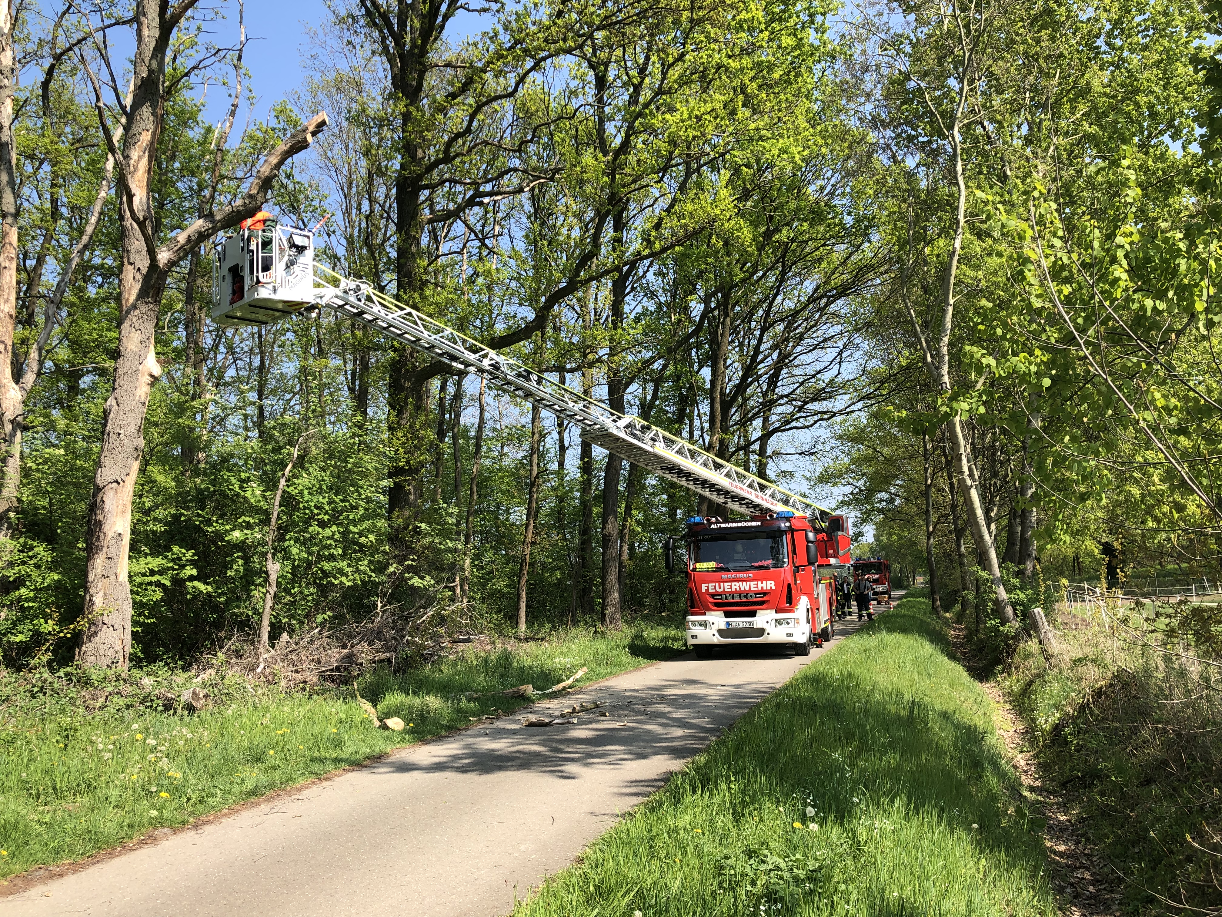 Ast droht zu fallen - Feuerwehr Altwarmbüchen